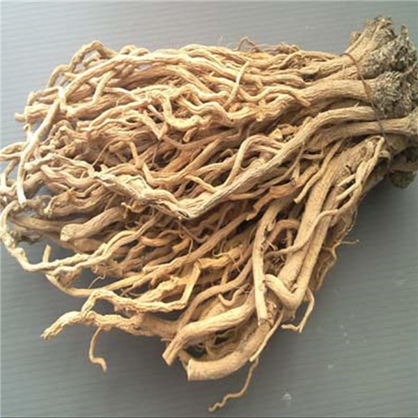河南板蓝根