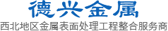 西安凯发国际k8官网登录金属表面处理工程有限公司