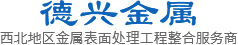 西安德兴金属表面处理工程有限公司