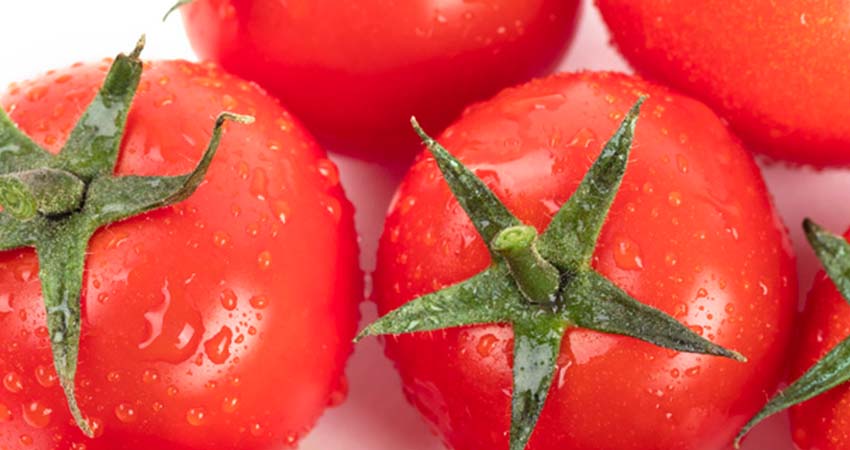 番茄红素 天然 发酵 合成的区别 差异与鉴别