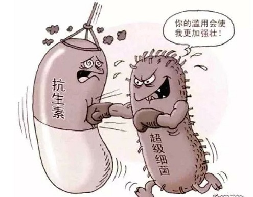 抗生素漫画