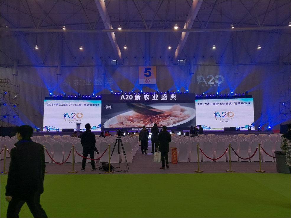 成都特装设计搭建-A20盛典