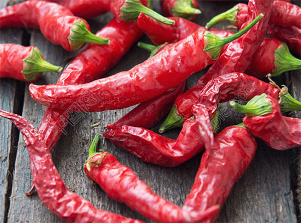 河南干辣椒厂家教你如何种植辣椒来提高辣椒产量？