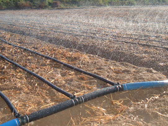 成都节水灌溉设备-滴灌带