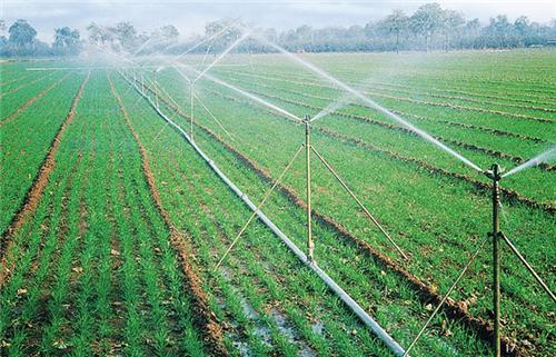 成都节水灌溉设备中的过滤器