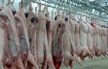 贵州生猪屠宰厂为大家讲讲处理流程