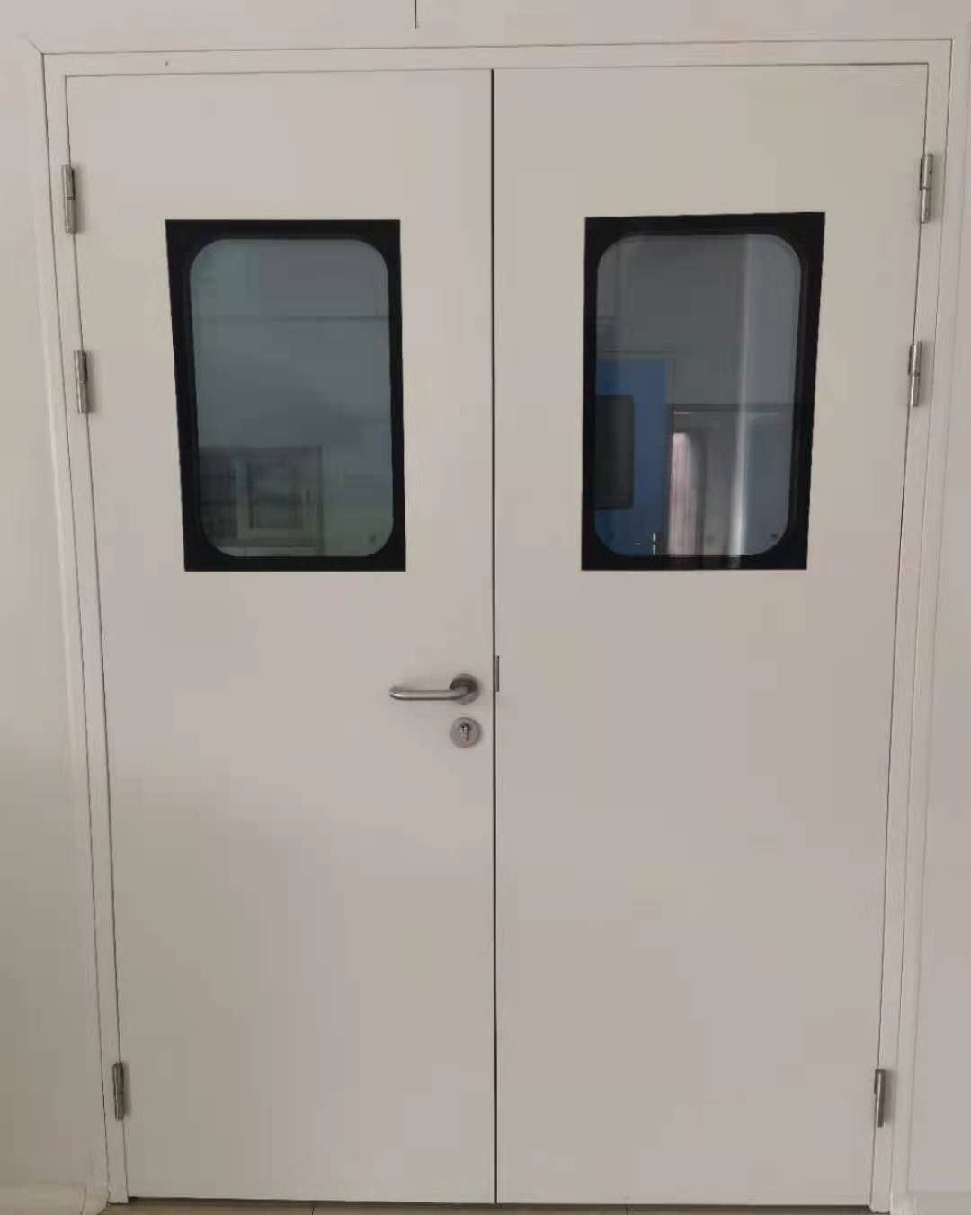 成都凈化鋼制門窗