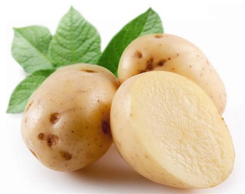 马铃薯催芽四法是什么？这些你知道吗？
