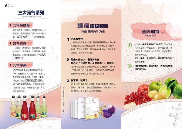 马铃薯果蔬汁饮品上线啦