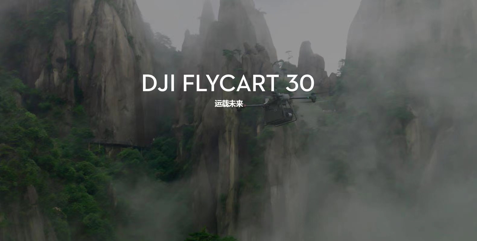 DJI FLYCART 30