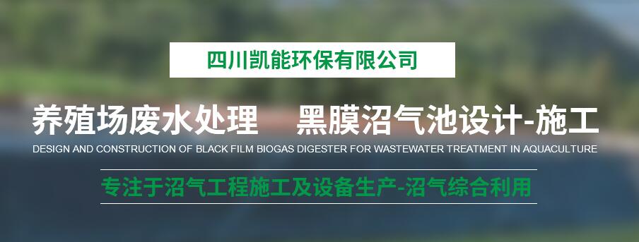 KU体育娱乐官网