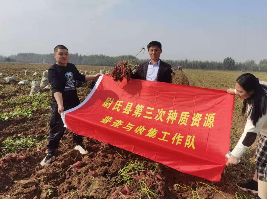 尉氏县第三次种质资源普查与收集工作队