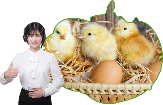 全方位的技术指导和售后