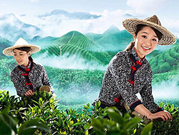 雅安茗茶采摘体验活动