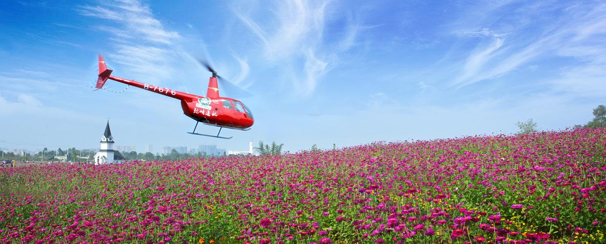蔚然花海春游赏花团建活动方案