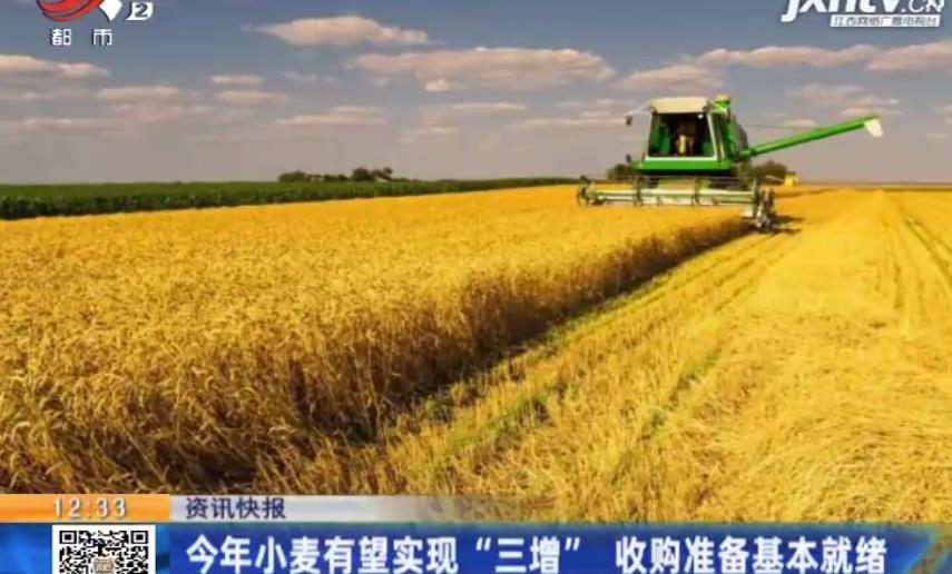 今年小麦有望实现“三增”，收购准备基本就绪