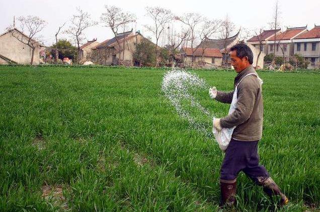 河南省2022年小麦春季施肥指导意见