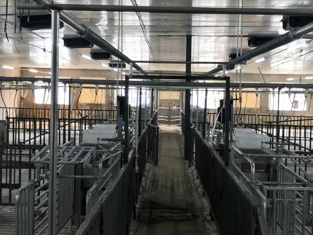 大北农4200头母猪自繁育猪场小群养电子饲喂站安装案例