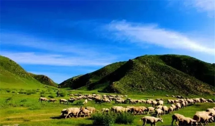 内蒙古高山草甸草原