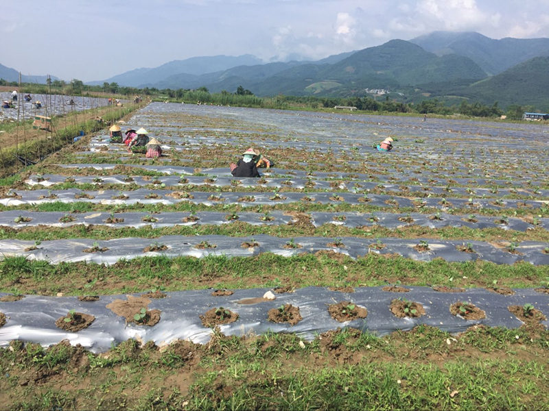 陕西农灌管厂家