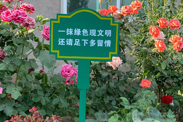 花草牌哪家好