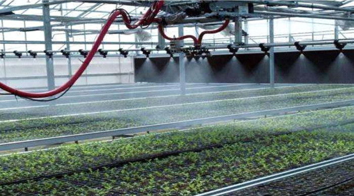 滴灌设备如何让农作物“喝饱水”？