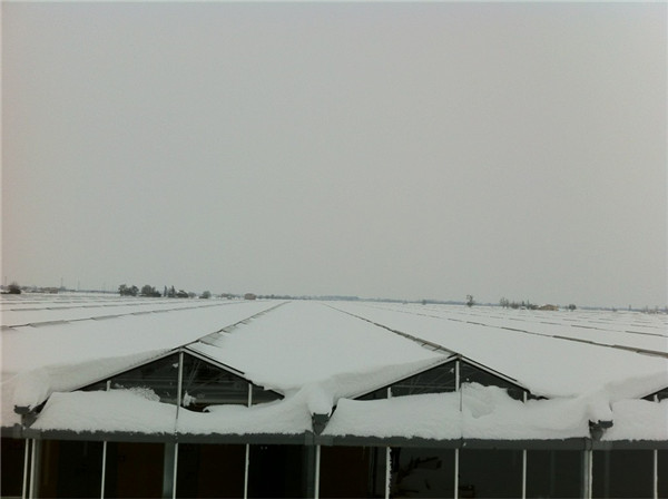 河南多地初雪悄然而至，温室大棚应该怎么管理