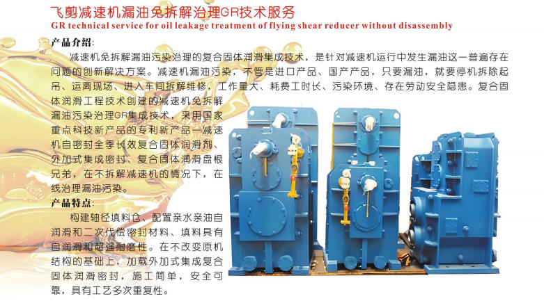 寧夏飛剪減速機(jī)漏油兔拆解治理GR技術(shù)服務(wù)