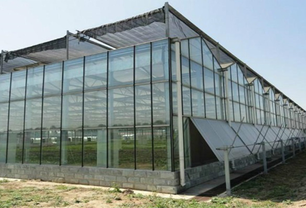 四川玻璃温室