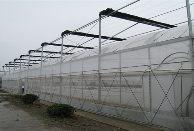 关于四川温室大棚的种植，四大温室大棚的优缺点在这里