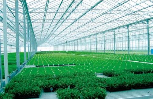 四川蔬菜温室大棚的种植注意事项有哪些？