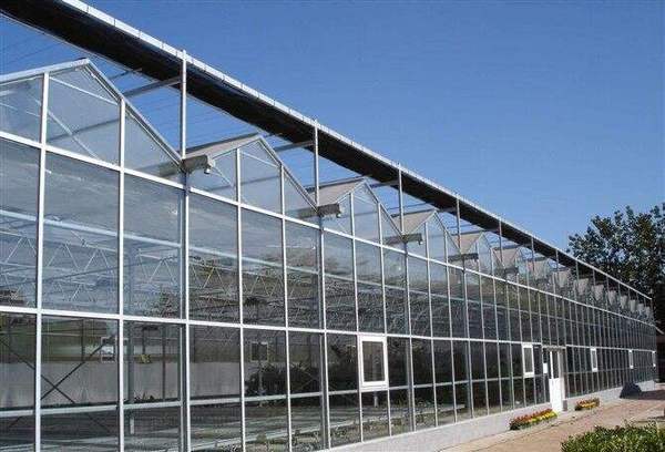 四川钢结构温室大棚的八个特点