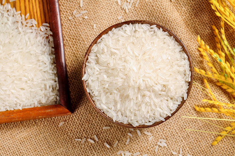 虾稻1号水稻品种图片