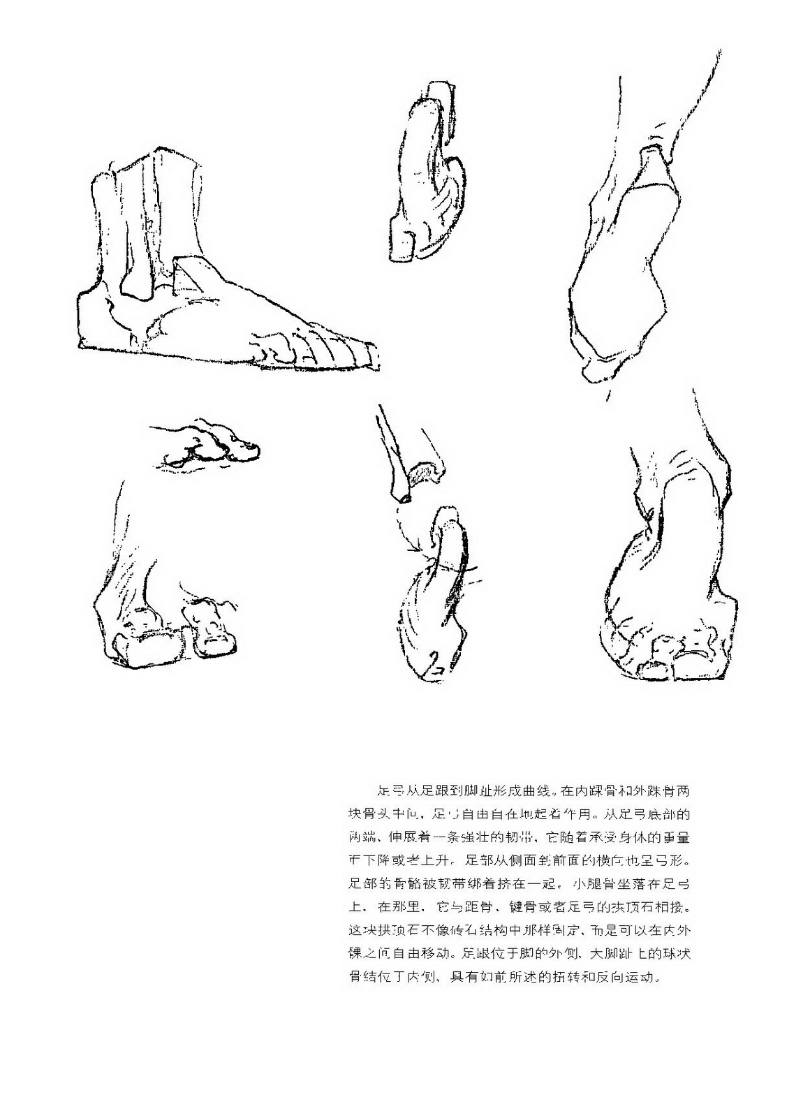 人物速寫練習,伯裡曼有作用嗎?-蘭州藝博藝術培訓中心