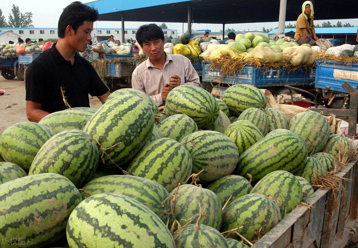 西寧今年水果全體撲街有的甚至跌到虧本咋回事真相很扎心