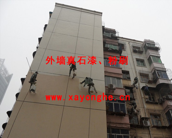 天游1956招商外墙真石漆粉刷